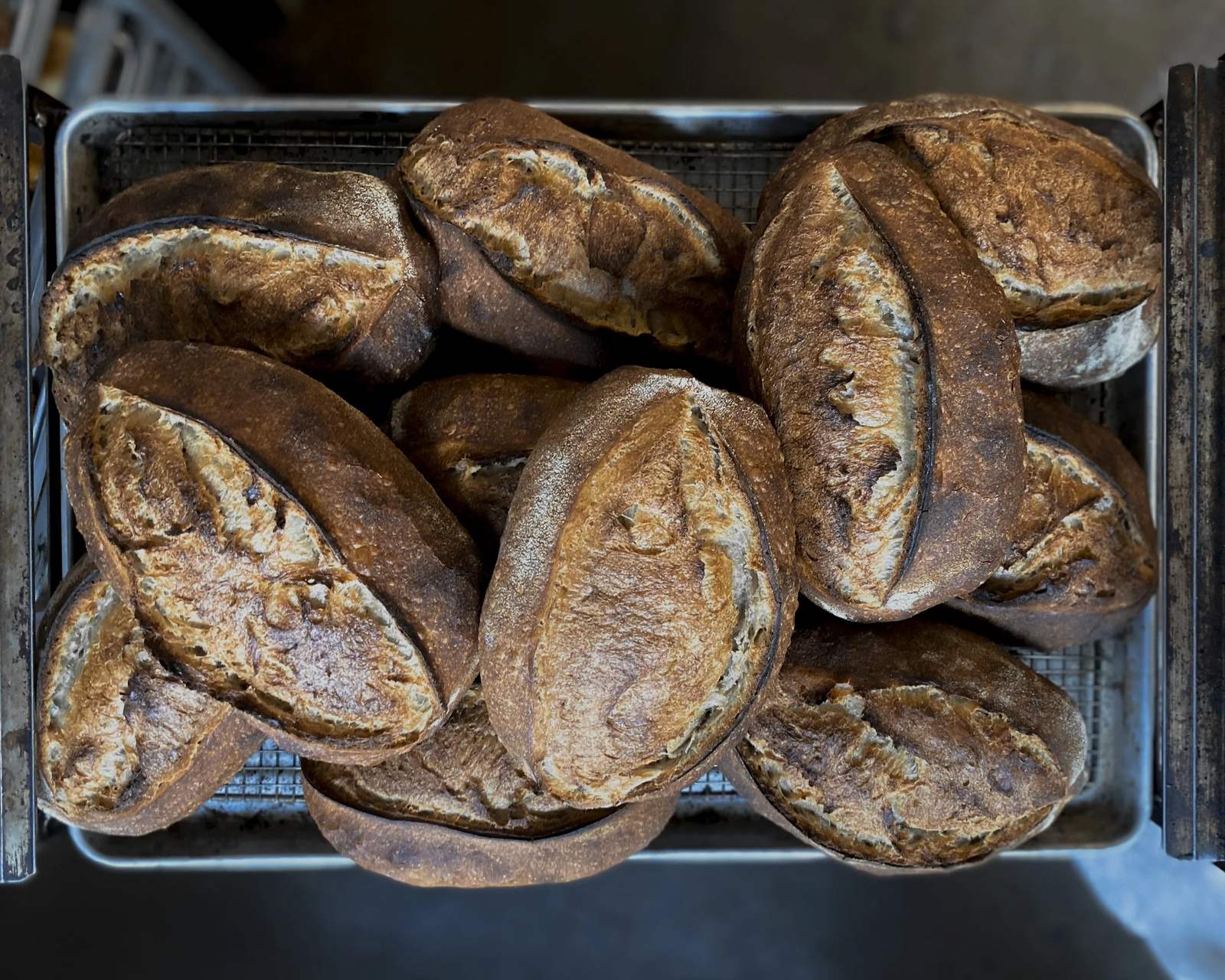 Dozen Bakery