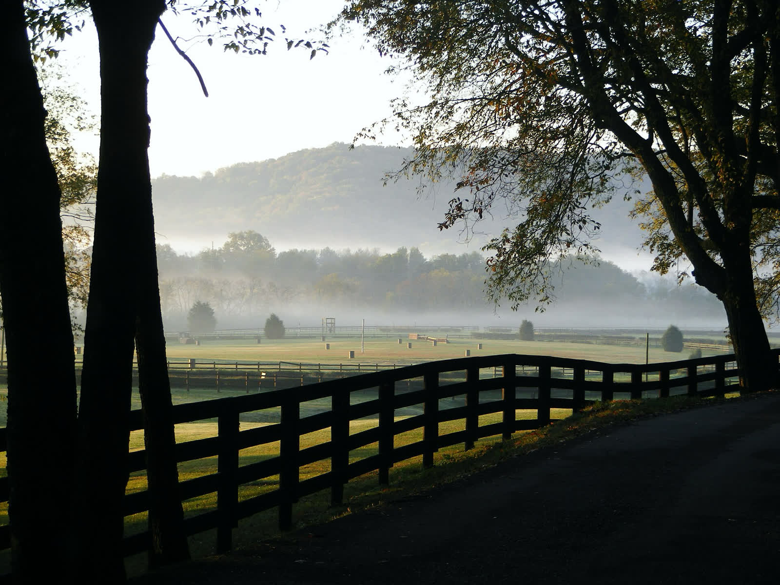 Morning mist over the fields at Percy Warner Park